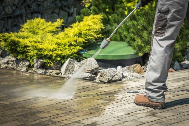 Best Boat and Dock Cleaning  in Spring Valley, NV
