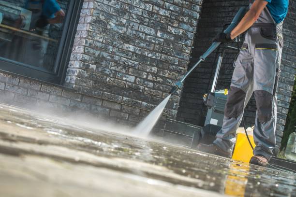 Animal Enclosure Cleaning in Spring Valley, NV