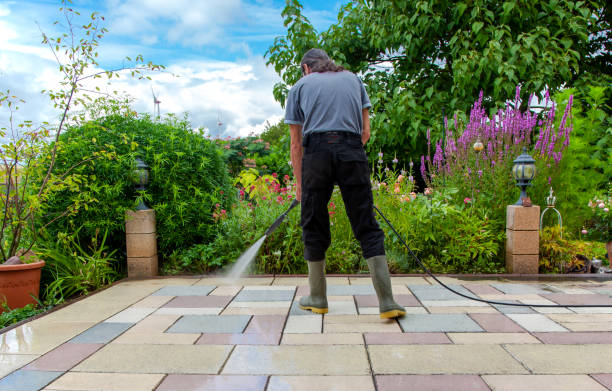 Best Driveway Pressure Washing  in Spring Valley, NV