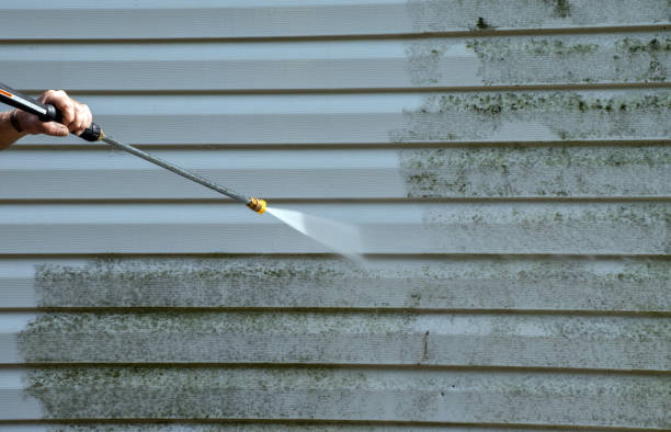 Best Patio and Deck Pressure Washing  in Spring Valley, NV